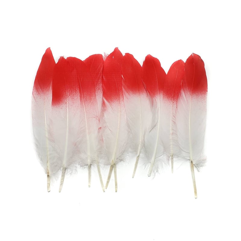 Red Tip White Goose Feathers, 10 Pieces, 6-8 Inches, Fall Halloween